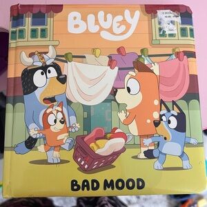 Bluey Bad Mood Kids Book